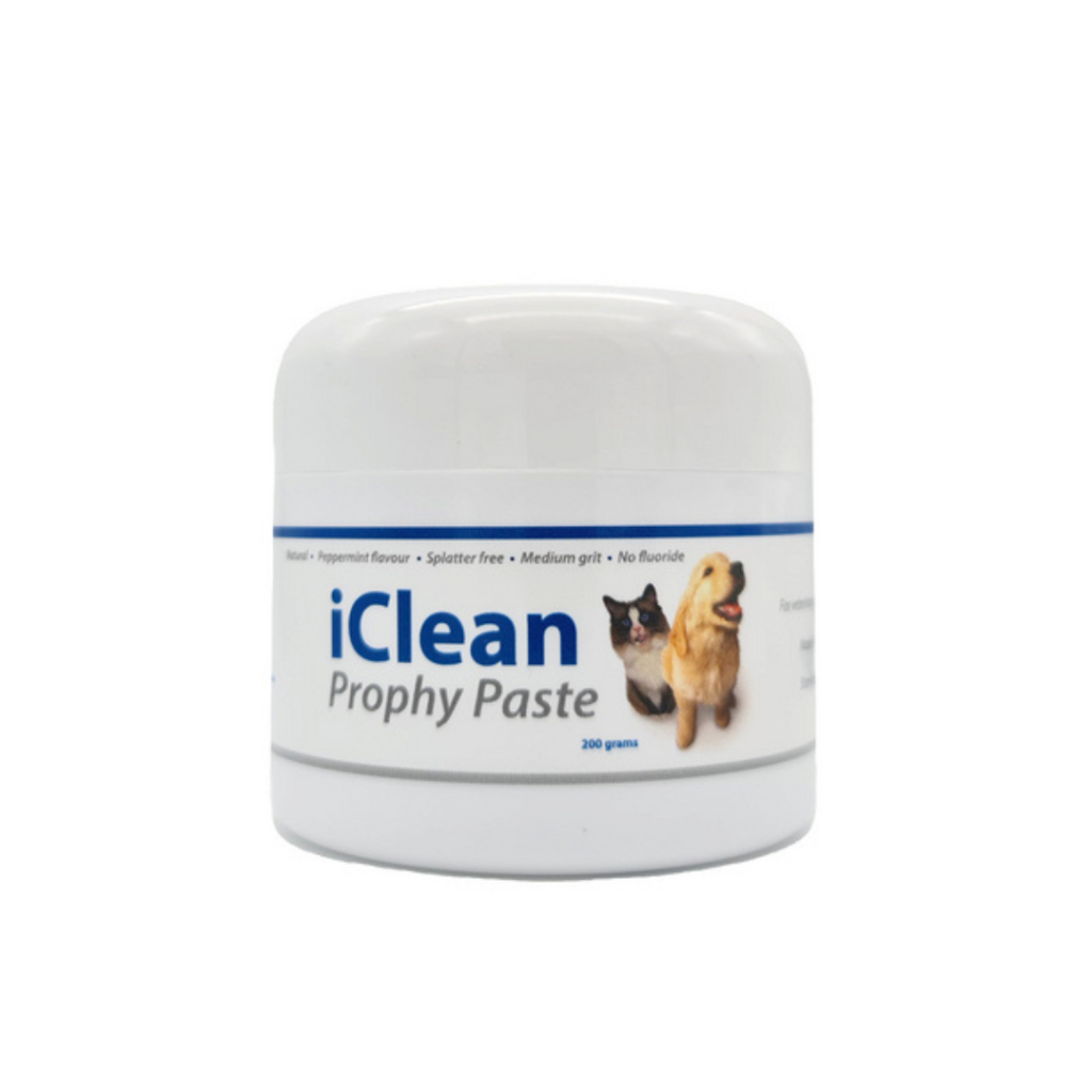Pasta de profilaxie iCLEAN