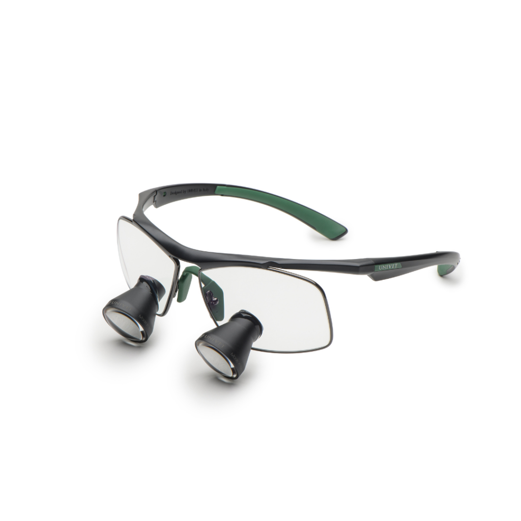 Lupe Univet Techne Black/Green