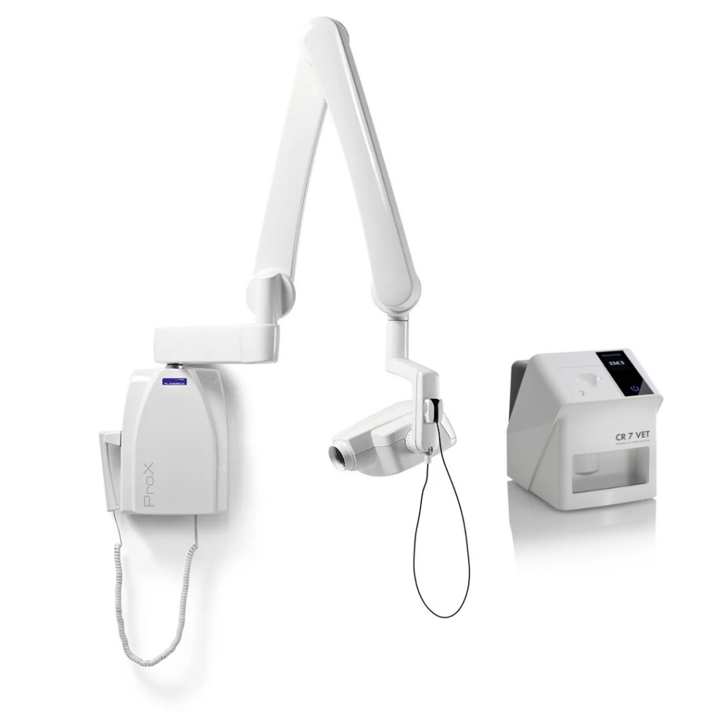 Pachet complet radiologie intraorală digitală veterinară