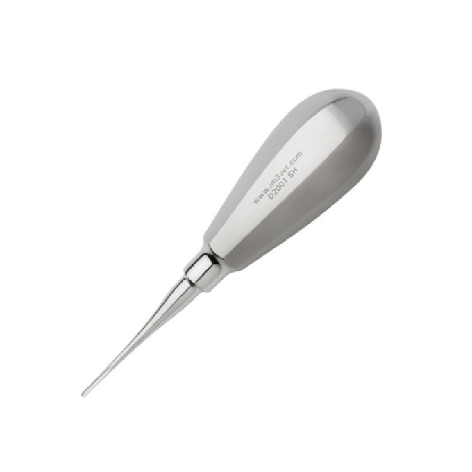 Elevator veterinar cu vârf drept și mâner scurt - 1mm